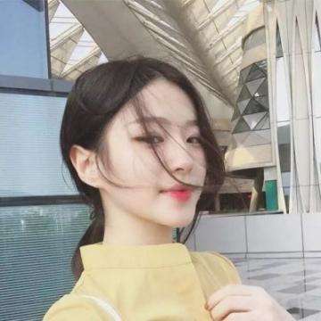 文明与秩序破解版下载